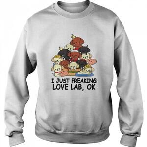Dogs I Just Freaking Love Labs Funny Dog Lover Meme Gift Sweatshirt